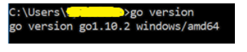 go language check version