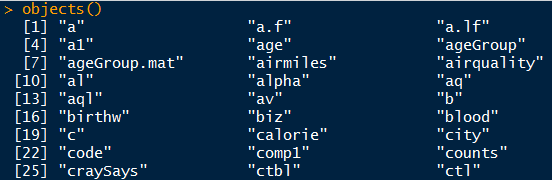 objects() function output in r language